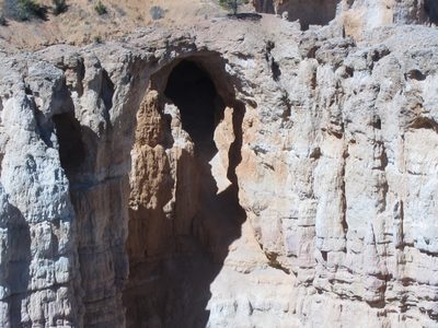 Close-up of a grotto which will probably develop into a...